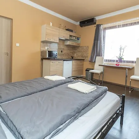 Ivanhoe Apartman Nyirbator